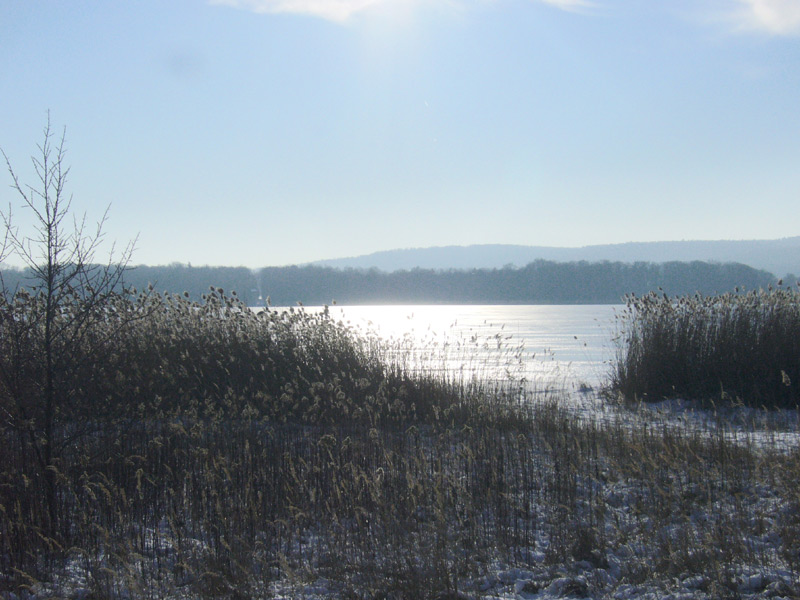 Seenlandschaft im Winter Gegenlicht