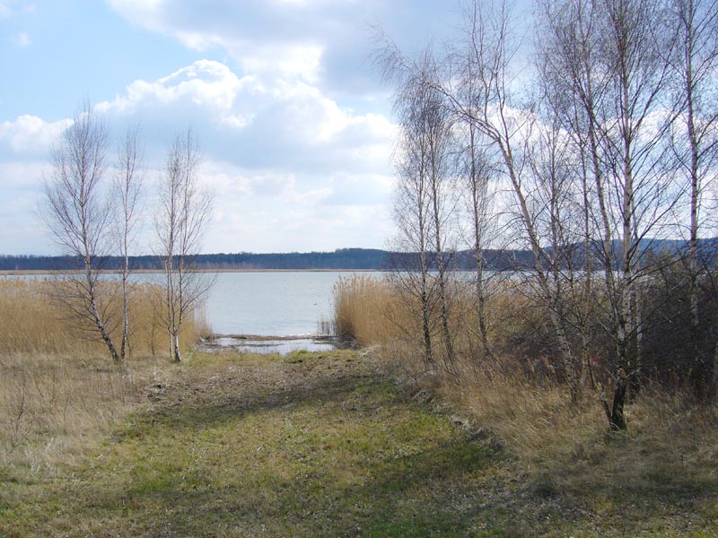 Lake_Landscape